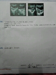 journal_insert_pic_430200365
