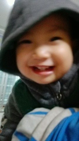 journal_insert_pic_430814270