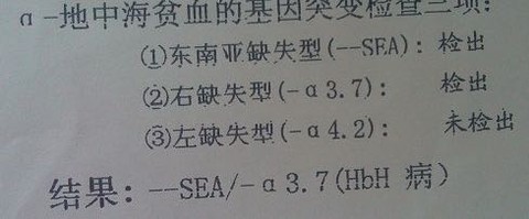 journal_insert_pic_431809670