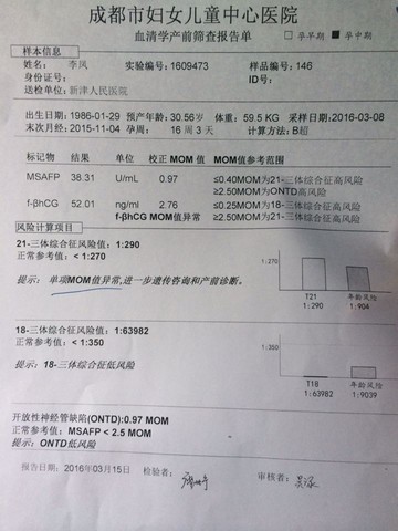 journal_insert_pic_431683039