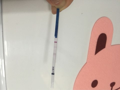journal_insert_pic_432633802