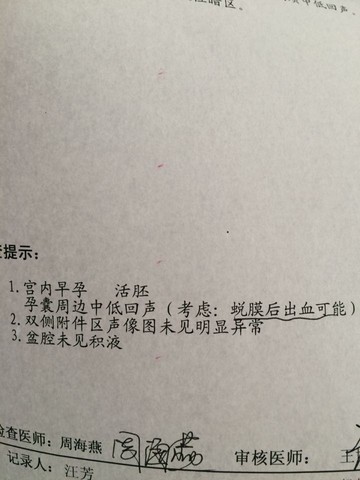 journal_insert_pic_433357221