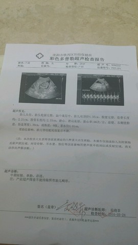 journal_insert_pic_434395517