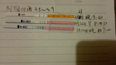 journal_insert_pic_434893630