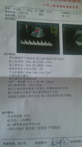 journal_insert_pic_439001755