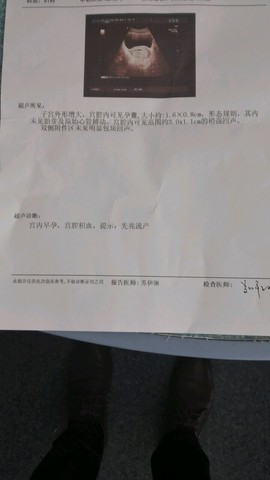 journal_insert_pic_438845995