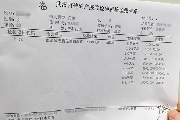 journal_insert_pic_440053317