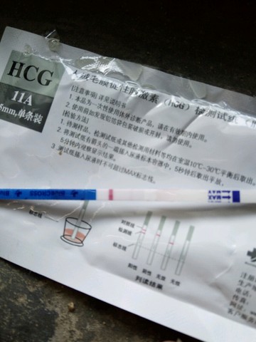 journal_insert_pic_439555546