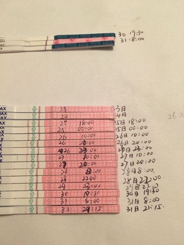 journal_insert_pic_441256445