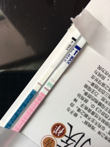 journal_insert_pic_441615262