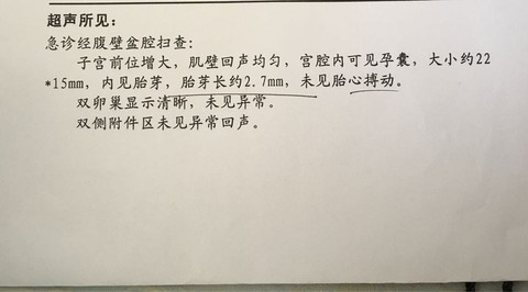 journal_insert_pic_441715821