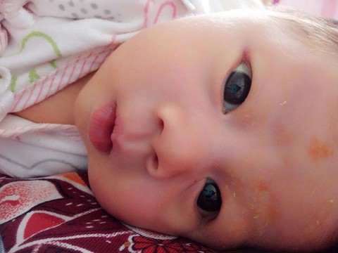 journal_insert_pic_441497359