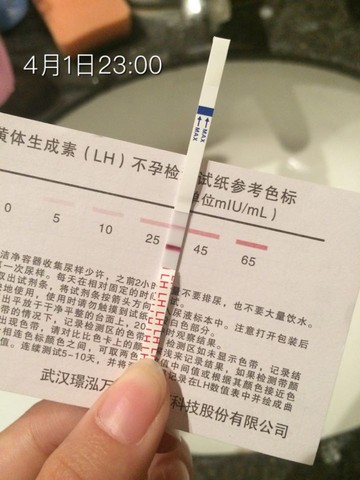 journal_insert_pic_442564196