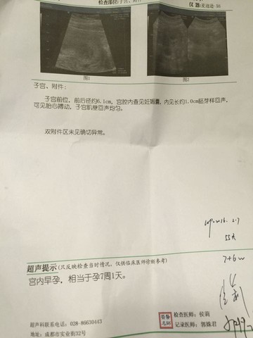 journal_insert_pic_442515212
