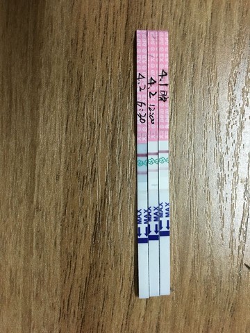 journal_insert_pic_442588452