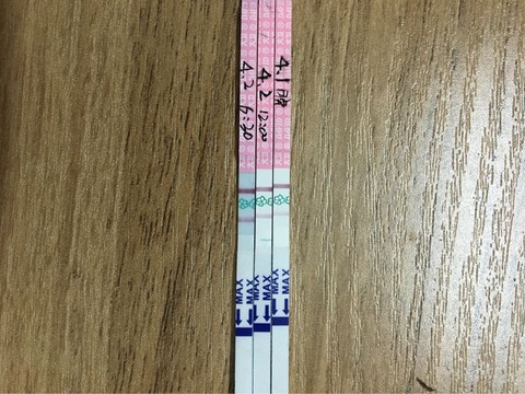 journal_insert_pic_442588482