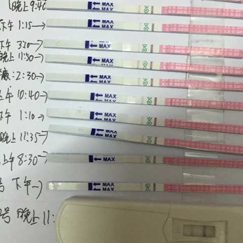 journal_insert_pic_442817015
