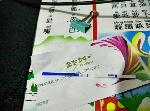 journal_insert_pic_444179199