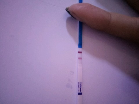 journal_insert_pic_444637299