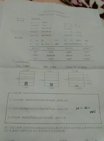 journal_insert_pic_444962084