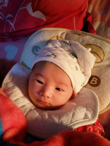 journal_insert_pic_445133229