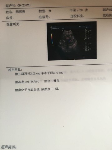 journal_insert_pic_445488860