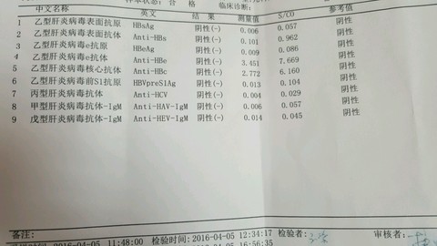journal_insert_pic_445652064