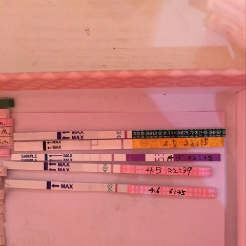 journal_insert_pic_445310890