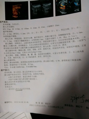 journal_insert_pic_446821668