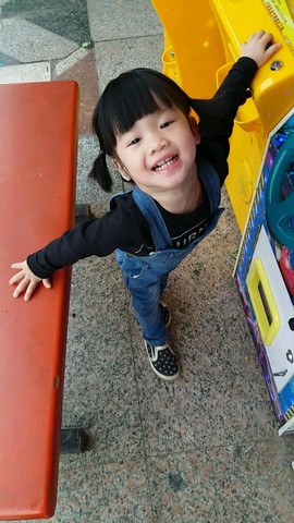 journal_insert_pic_446185656