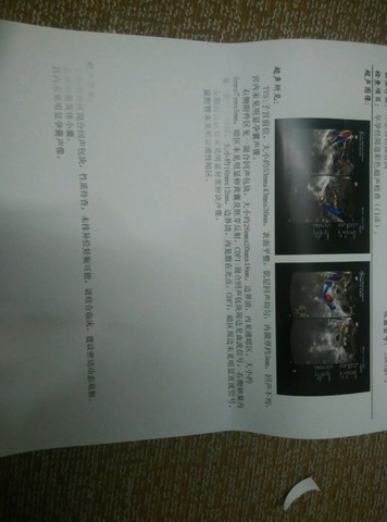 journal_insert_pic_446829339