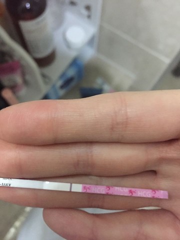 journal_insert_pic_446952760