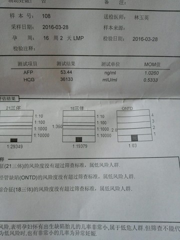 journal_insert_pic_446267020