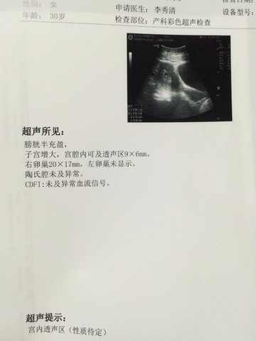 journal_insert_pic_446575008