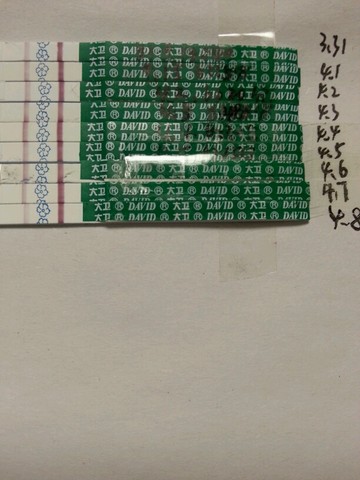 journal_insert_pic_447415114