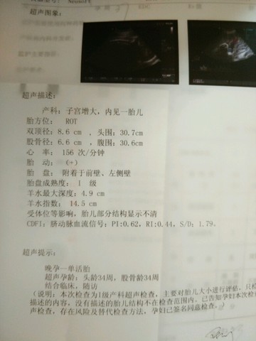 journal_insert_pic_447384174