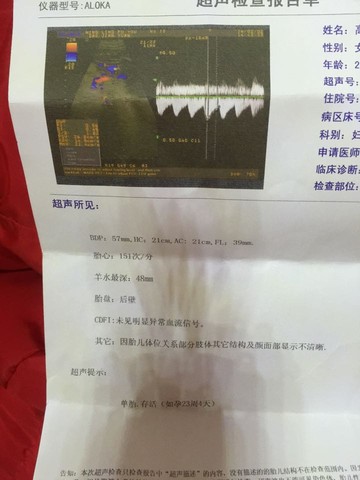 journal_insert_pic_448185964