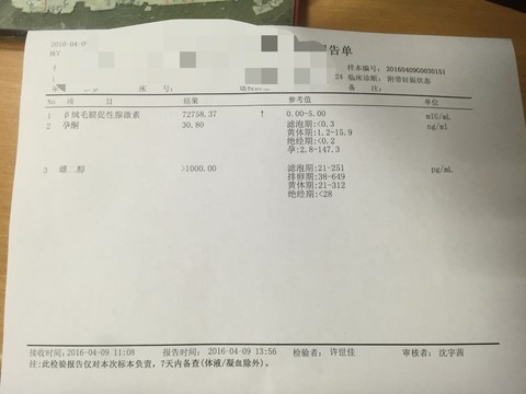 journal_insert_pic_448484586