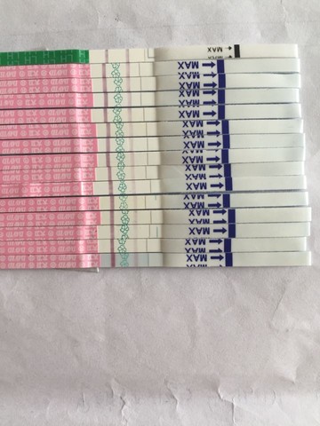 journal_insert_pic_449842593