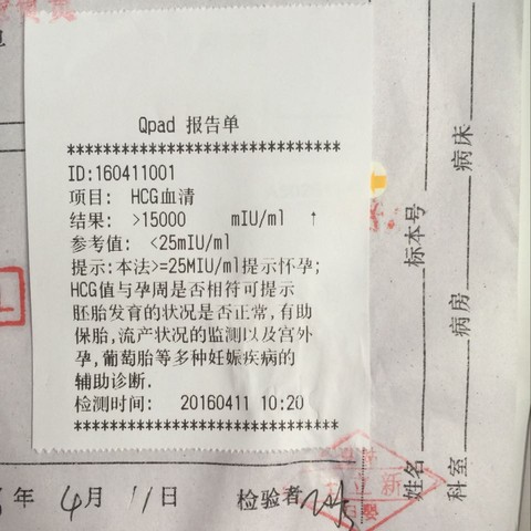 journal_insert_pic_450489691
