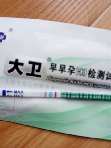 journal_insert_pic_450643330