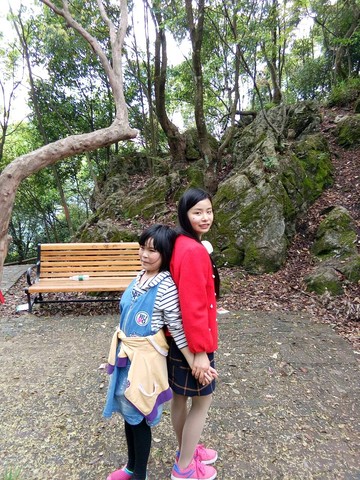 journal_insert_pic_450497581