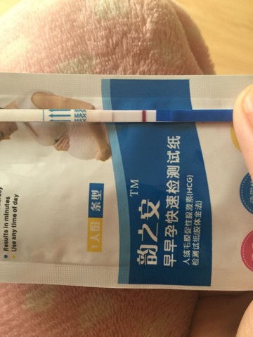 journal_insert_pic_451549467