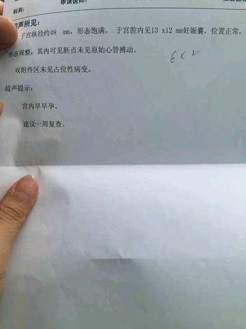 journal_insert_pic_451769588