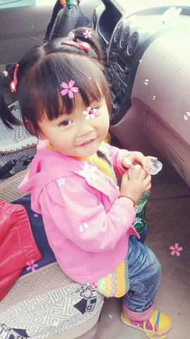 journal_insert_pic_451411435