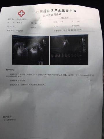 journal_insert_pic_452455680