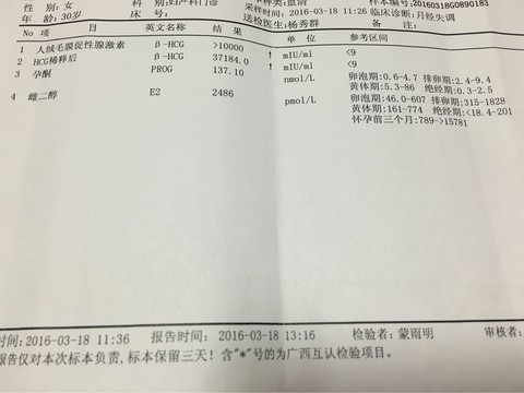 journal_insert_pic_452452224