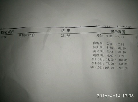 journal_insert_pic_452734085