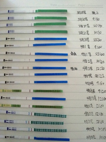 journal_insert_pic_452364370