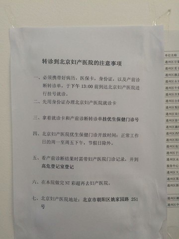 journal_insert_pic_454027743